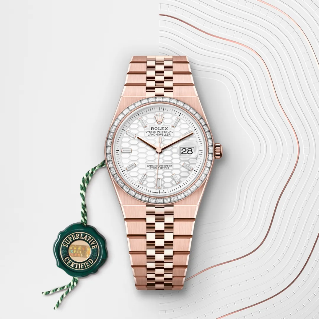 Rolex Land-Dweller 36 Oyster, 36 mm, Everose gold and diamonds M127285TBR-0002 - Image 3